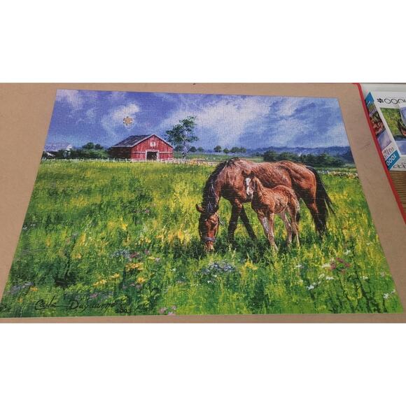 Buffalo Games - Carla D'aguanno - Near and Dear - 1000 Piece Jigsaw Puzzle - Picture 1 of 7